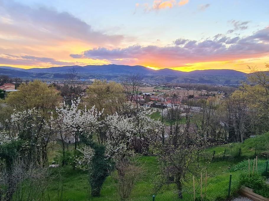 Clonas-sur-Vareze Gite De 70M² Avec Vue Sur Le Massif Du Pilat מראה חיצוני תמונה