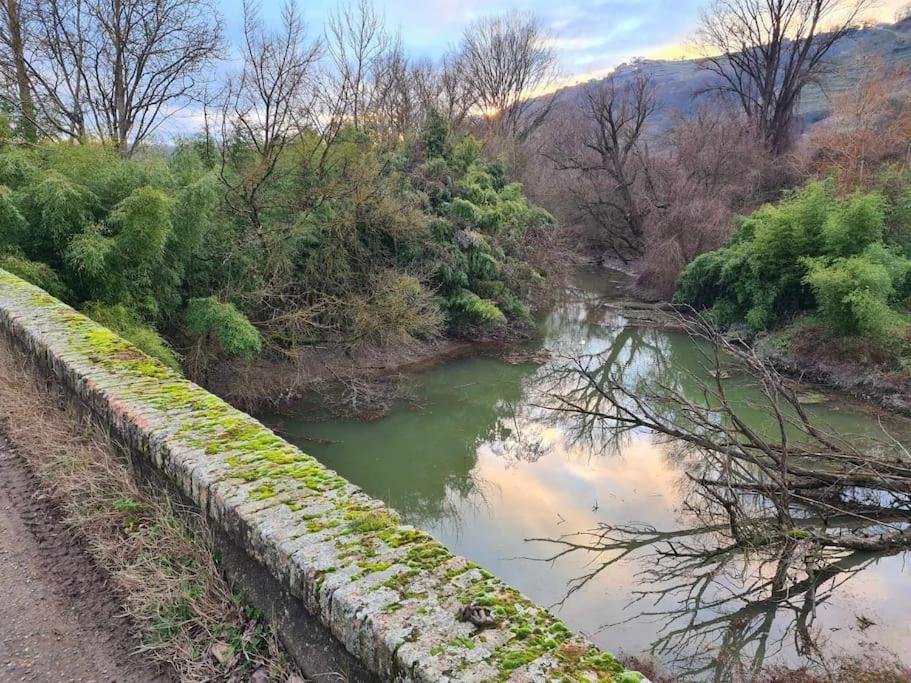 Clonas-sur-Vareze Gite De 70M² Avec Vue Sur Le Massif Du Pilat מראה חיצוני תמונה