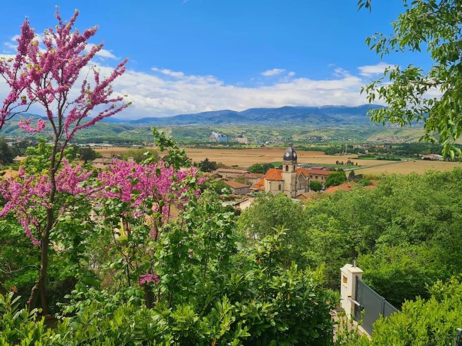 Clonas-sur-Vareze Gite De 70M² Avec Vue Sur Le Massif Du Pilat מראה חיצוני תמונה